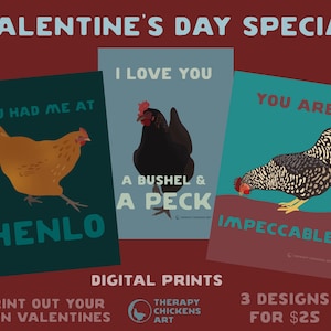 Valentine’s Day Special - digital illustration collection - backyard chickens - folk art - animal art