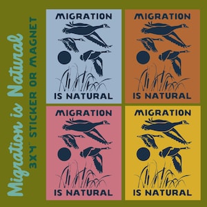 May include: Four 3x4 inch stickers or magnets with a nature theme. Each features a dark blue illustration of geese in flight, reeds, and the text "MIGRATION IS NATURAL" on a different colored background: blue, orange, pink, and yellow.
