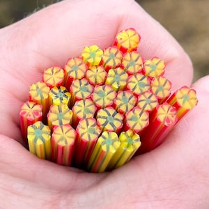 May include: A collection of colourful glass rods, held in a hand, with a floral design on the ends. The rods are red, yellow, and green, with a starburst pattern. The ends of the rods have a flower-like appearance.