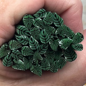 Coe 90 Murrini Leaf 1 oz