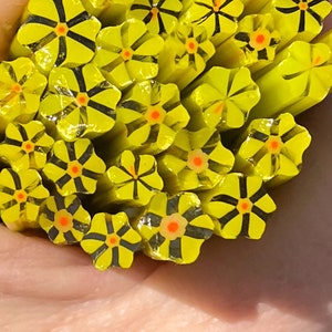 Coe 96 Murrini Flower Lime Green Orange 1 oz