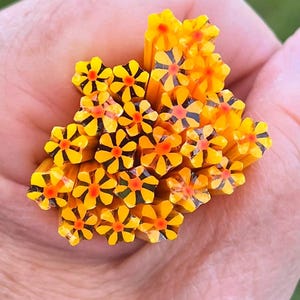 Coe 90 Murrini Flowers Solindra 1 oz