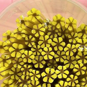 Coe 96 Murrini Flower Sunflowers 1 oz