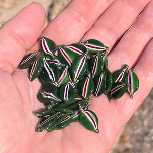 Coe 96 Murrini Petal Jingle Bloom 1 oz