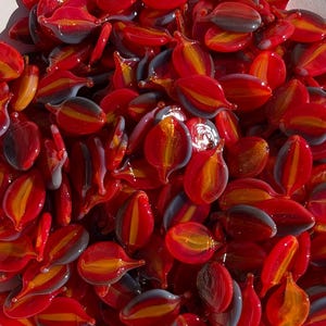 Coe 96 Murrini Petal Embers 1 oz