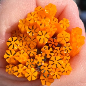 Coe 96 Murrini Flower Orange 1 oz