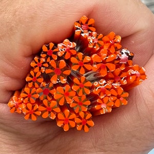 Coe 90 Murrini Flower Saffron Eclipse 1 oz