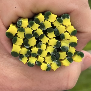 May include: A close-up of a bunch of yellow and green star-shaped polymer clay canes. The canes are stacked on top of each other and are ready to be used for crafting.