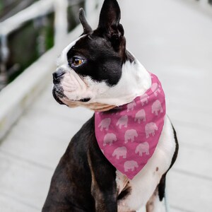Staffy accessories sales
