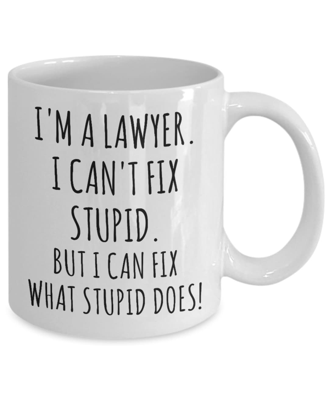 Funny Lawyer Mug Lawyer Gag Gift for Men and Women Law Student