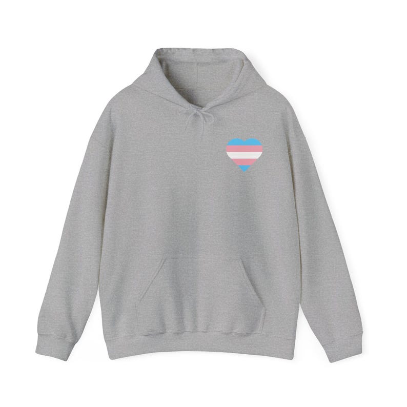Trans Shirt, Trans Hoodie, Trans Sweatshirt, Trans Pride Shirt, Trans Rights Shirt, Protect Trans Kids, Protect Trans Youth, LGBTQ+ Hoodie image 3