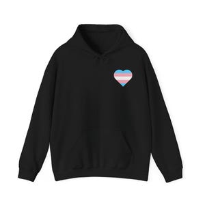 Trans Shirt, Trans Hoodie, Trans Sweatshirt, Trans Pride Shirt, Trans Rights Shirt, Protect Trans Kids, Protect Trans Youth, LGBTQ+ Hoodie image 5