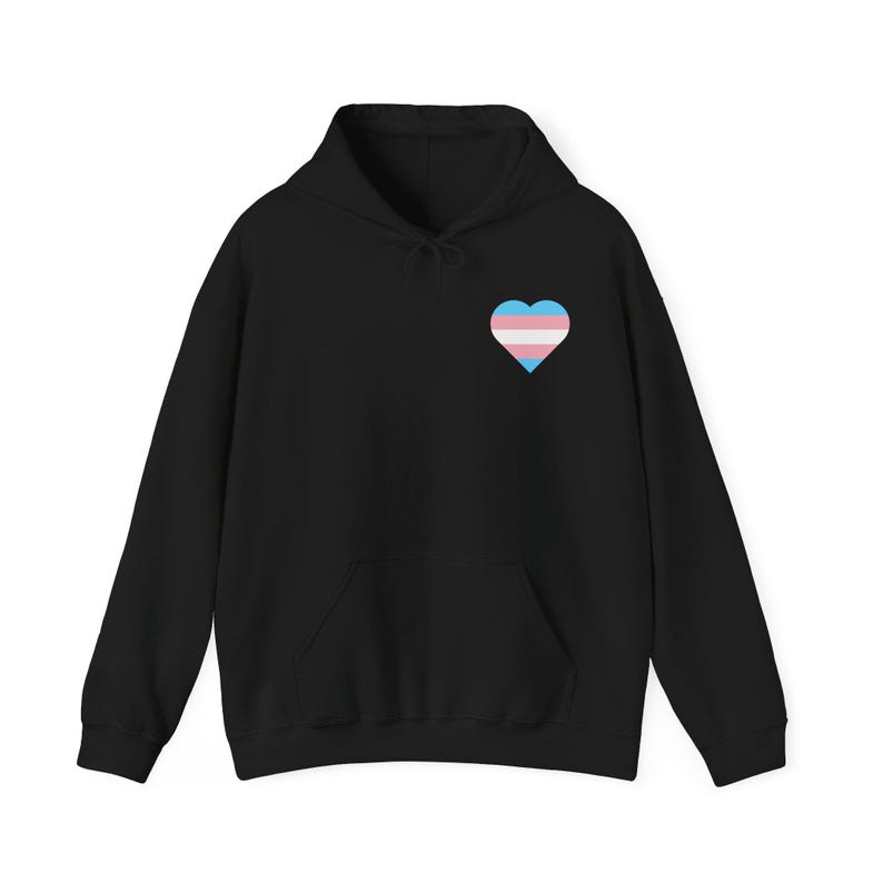 Trans Shirt, Trans Hoodie, Trans Sweatshirt, Trans Pride Shirt, Trans Rights Shirt, Protect Trans Kids, Protect Trans Youth, LGBTQ+ Hoodie image 5