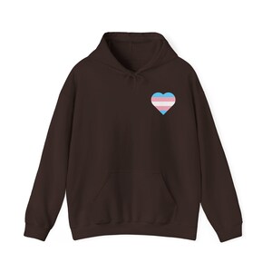 Trans Shirt, Trans Hoodie, Trans Sweatshirt, Trans Pride Shirt, Trans Rights Shirt, Protect Trans Kids, Protect Trans Youth, LGBTQ+ Hoodie image 7
