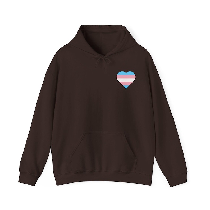 Trans Shirt, Trans Hoodie, Trans Sweatshirt, Trans Pride Shirt, Trans Rights Shirt, Protect Trans Kids, Protect Trans Youth, LGBTQ+ Hoodie image 7