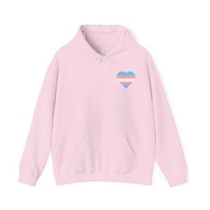 Trans Shirt, Trans Hoodie, Trans Sweatshirt, Trans Pride Shirt, Trans Rights Shirt, Protect Trans Kids, Protect Trans Youth, LGBTQ+ Hoodie image 9