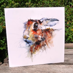 Timid Hare Greetings Card
