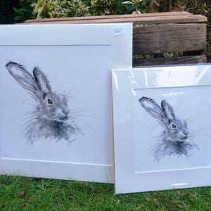 Grey Hare Giclee Print