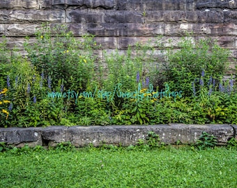 grass wall backdrop etsy
