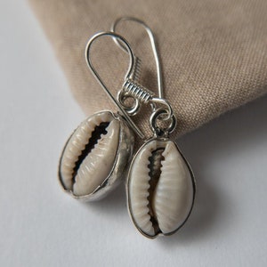 Puede incluir: Un par de pendientes de plata con colgantes de concha de cauri blanca. Los pendientes tienen un diseño simple y elegante.