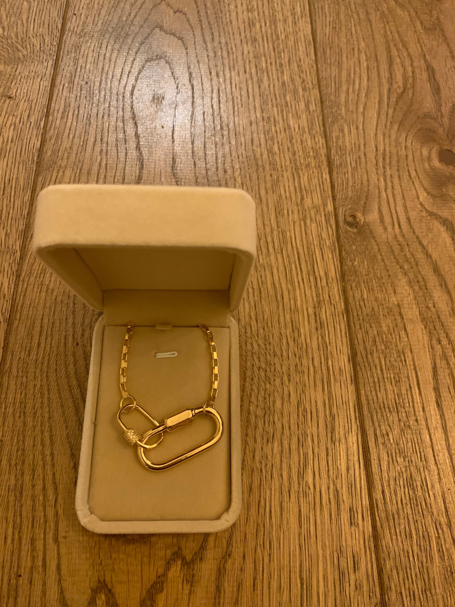 Carabiner charm necklace Clearance