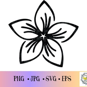 Hawaiiaanse Plumeria bloem-Plumeria SVG-clipart SVG-bloem SVG-Hawaii SVG-Hawaii laserbestand-Hawaii bloem SVG-Hawaiian-bloem bestand-bloem
