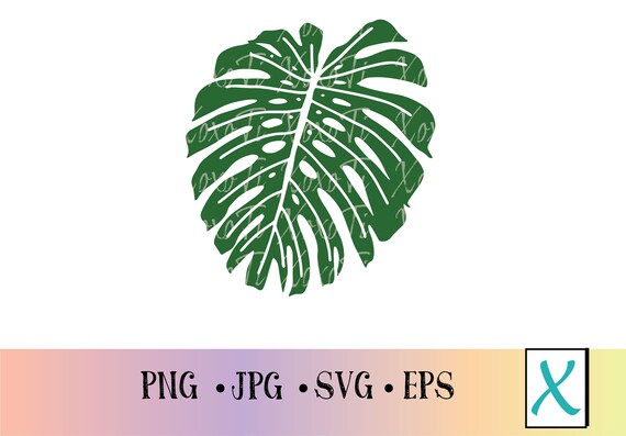 Hawaiianische Monstera Blatt SVG, Hawaii Tropisch Clipart (digitaler  Download) - Etsy Schweiz