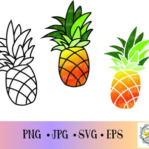 Hand Drawn pineapple SVG, pineapple PNG, fruit SVG, cut file, pineapple shape, Hawaii,  instant download