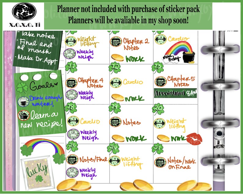 Download Bullet journal digital sticker pack March St. Patrick's | Etsy