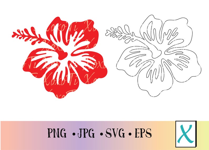 Hawaii Hibiscus Flower, Hawaii Flower Svg, Clipart SVG, Flower PNG