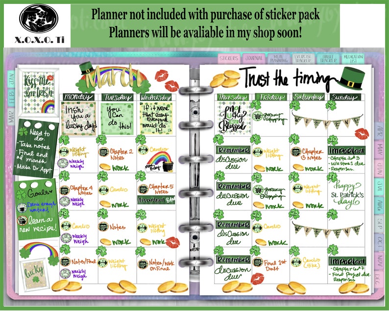 Download Bullet journal digital sticker pack March St. Patrick's | Etsy