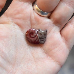 Puede incluir: Una pequeña figura de cerámica esculpida que presenta una cabeza de gato unida a una concha de amonita en espiral de color marrón rojizo. El gato tiene un acabado liso de color marrón claro con rasgos faciales, y la concha es brillante.