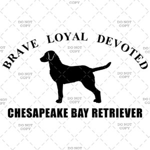 May include: Black silhouette of a Chesapeake Bay Retriever dog with the words "Brave Loyal Devoted" around the dog and the words "Chesapeake Bay Retriever" below the dog.