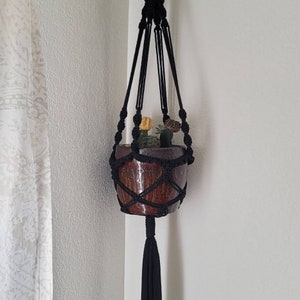 May include: A black macrame plant hanger holding a brown ceramic pot with small cacti and succulents. The hanger is suspended from the ceiling and has a long tassel at the bottom. The pot has a glossy finish.