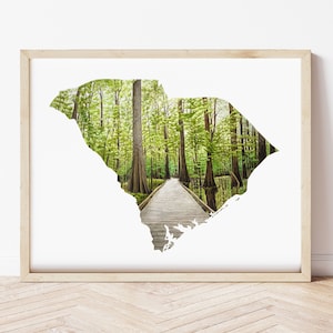 20 x 10 Zoll und 11 x 14 Gicleé South Carolina State Kunstdruck Aquarell Malerei Ungerahmt