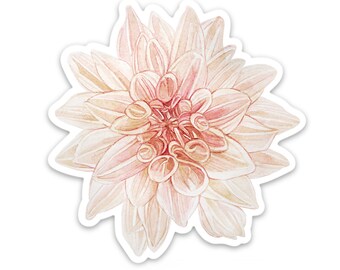 Dahlia Cafe Au Lait Etsy