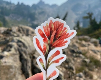 May include: A close-up of a red and green flower sticker with a white background. The sticker is held in a hand against a blurry background of mountains.