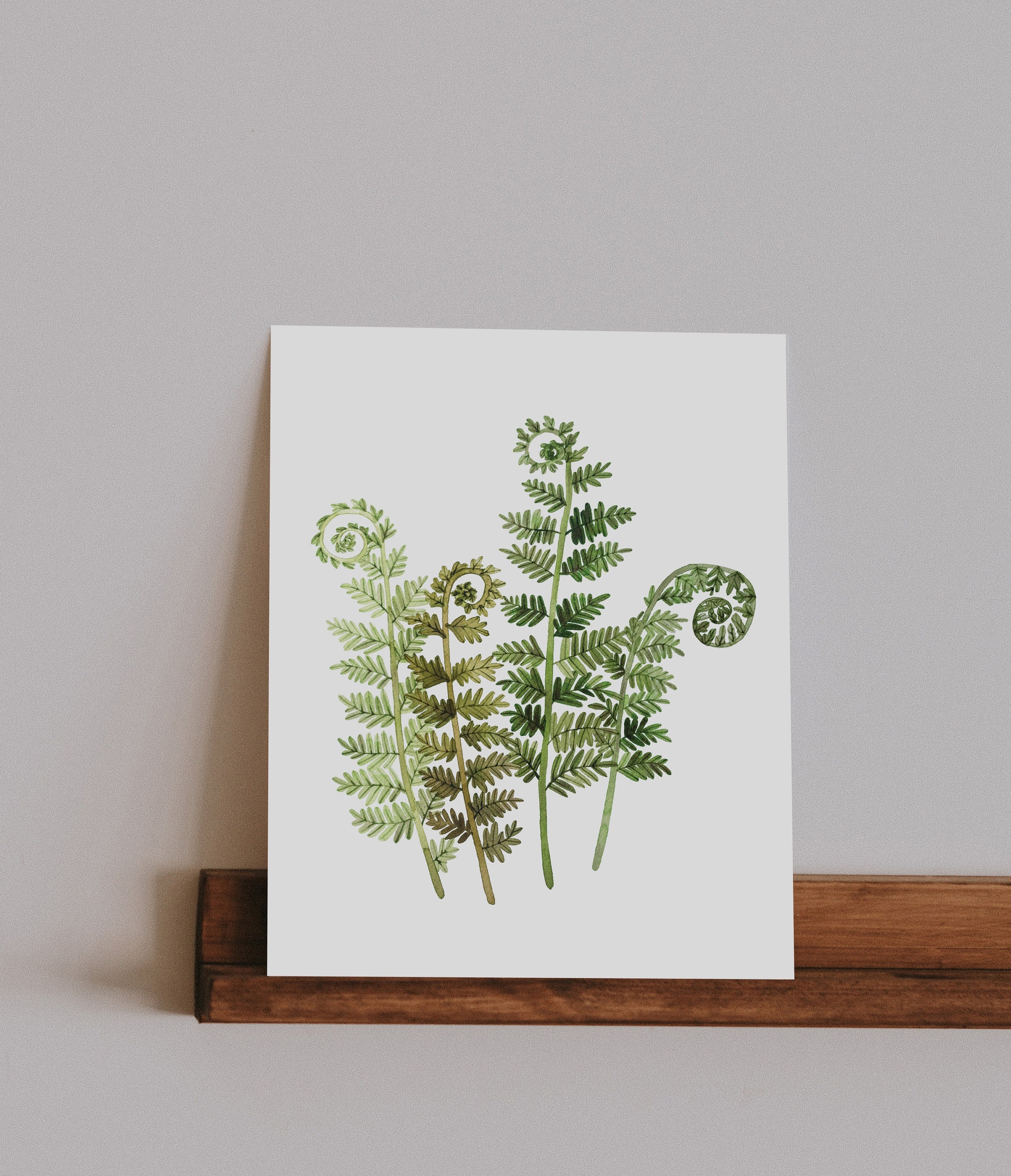 Buy Fern Fronds Art Online In India  Etsy India