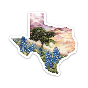Texas State Vinyl Sticker Bluebonnets