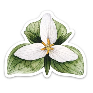 Trillium Flower Pacific Northwest Watercolor Art Sticker