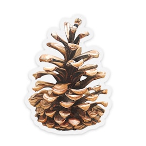 Pinecone Immergrün pazifischer Nordwesten Vinyl Aquarell Aufkleber