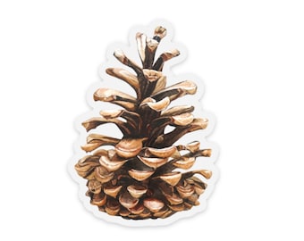 Pinecone Evergreen Pacific Northwest Vinyl Watercolor Sticker