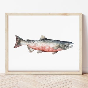 Chinook Salmon Watercolor 8&quot;x10&quot; 11&quot;x14&quot; and 12&quot;x16&quot; Wall Decor Artwork Print Unframed