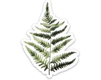 Fern Vinyl Watercolor Sticker Pacific Northwest