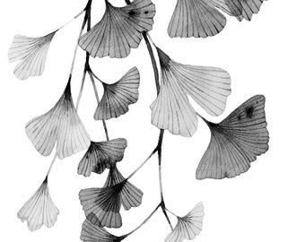 Ginkgo Leaves Botanical 8"10" and 11"x14"  Gicleé Print Watercolor Painting Bedroom Wall Art Wall Decor Unframed