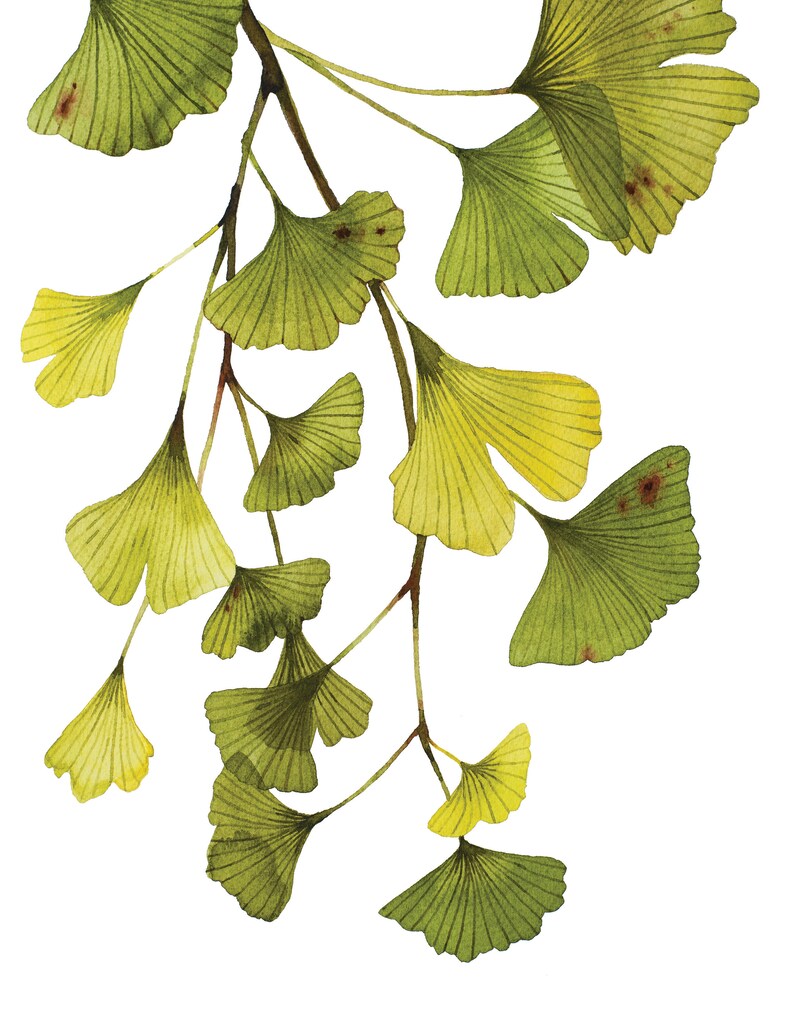 Ginkgo Leaves Digital Download Printable Art Modern | Etsy
