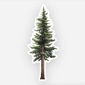 Op de afbeelding: Waterverf sticker van een hoge conifeer. De boom heeft een bruine stam en groene naalden, met een witte rand. De sticker is een gedetailleerde illustratie van een conifeer, ideaal voor natuurliefhebbers en knutselprojecten.