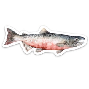 Chinook Lachs im pazifischen Nordwesten Aquarell Kunst Aufkleber