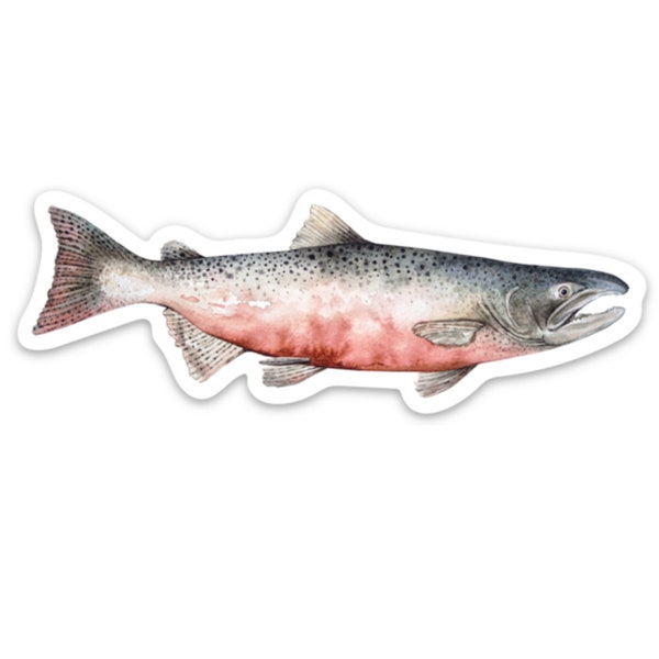 Chinook Salmon Pacific Northwest Watercolor Art Sticker