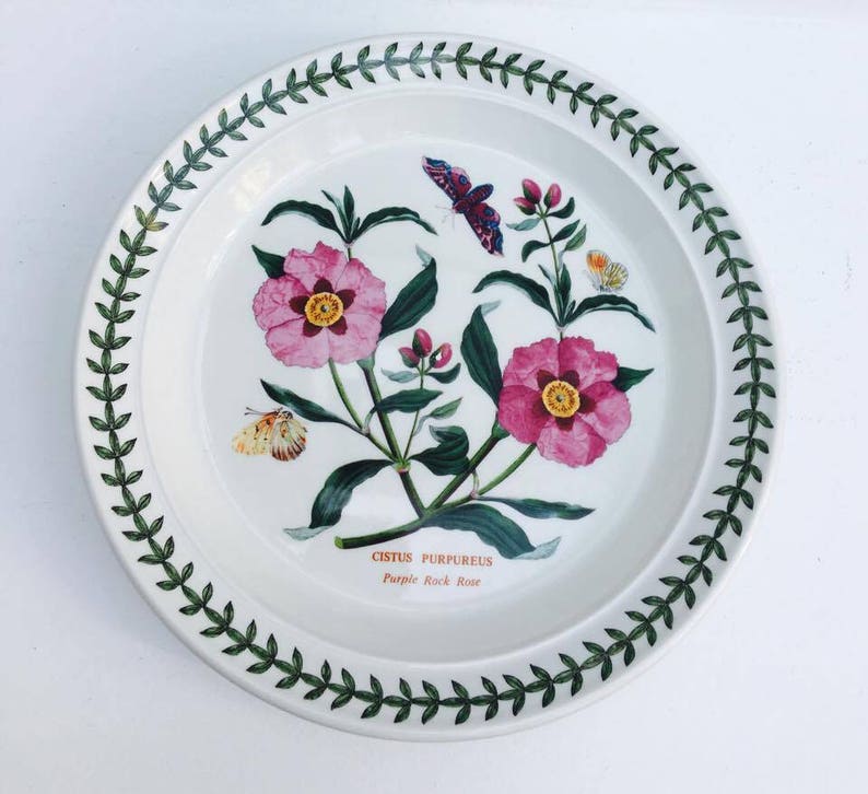 70s Botanic Garden Dinner Plate Cistus Purpureus Purple Rock Rose Made in England and a Saucer Portmeirion Dinner Plate China Replacement